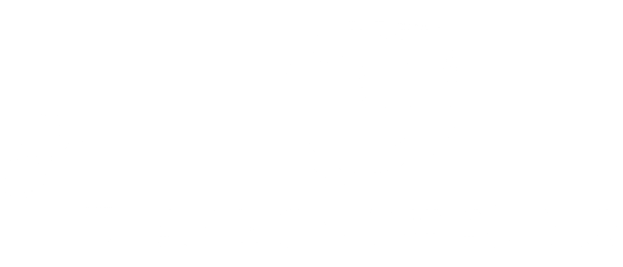 White Logo Transperent